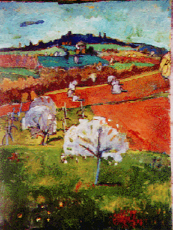 carradore vittorio